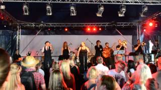 Do I Love You - Wickham Festival 2015 - Ale Tent