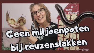 Miljoenpoten niet bij reuzenslakken?