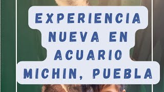 Convivencias extremas en Acuario Michin