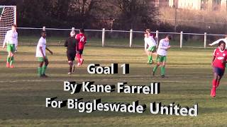 kane Farrell playing right & Left wing in No17 for Biggleswade United V Leverstock Green 24 02 2018