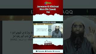 Janwaron Ki Khidmat Mein Bhi Sawab Hai by Zaid Patel iPlus TV ikhtilaf Ka Hal #shorts