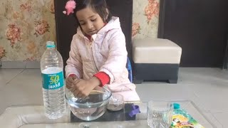 Science Experiment #4: Black Pepper and Dish Soap Experiment |  Princess Ilisha | Little Ilisha Toys