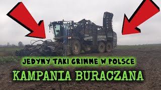 ☆JEDYNY TAKI KOMBAJN W POLSCE ☆| GRIMME BLACK HAWK 630 & NEW HOLLAND