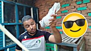 🔴عادات ومراسلات ورومانى وجعافره وشخاشله🤦🏽🕊️ بالاسعار/ #حمام #شاكوش🔥 الجزء التانى