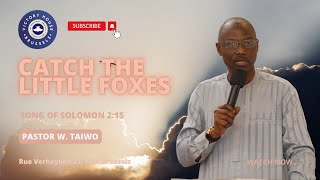 CATCH THE LITTLE FOXES. SONG OF SOLOMON 2:15