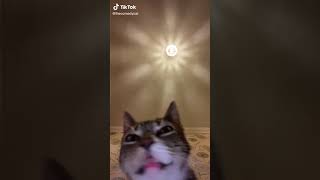 fetch me there souls(funny things on tiktok)