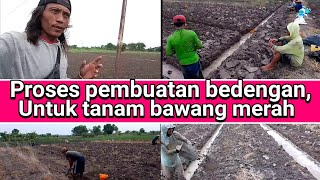 proses pembuatan bedengan,calon lahan untuk tanam bawang merah,di nganjuk