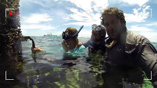 Alligator Reef Lighthouse Family diving Islamorada FL Fish Pro