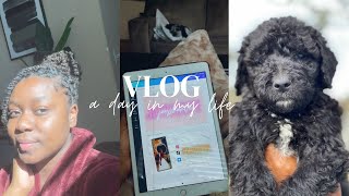 Day In My Life Vlog | Puppy No.2 | Jay Shant’e