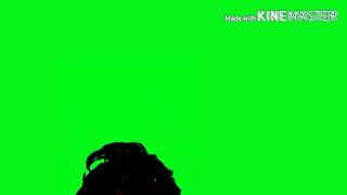 Green screen Jacky Leone