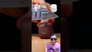 ES BATU ATAU MARSHMELLOW ⁉️ #satisfying #chocolate #oddlysatisfying #duet #funny #dubbing