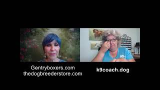 Paula Vandervoort Natural Rearing Boxer Breeder