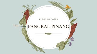 Klinik SIG Dasar - Pangkal Pinang #PWKUT #GIS