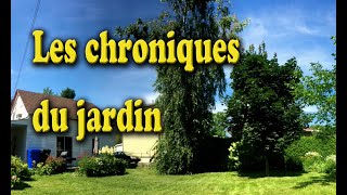 Les chroniques du jardin