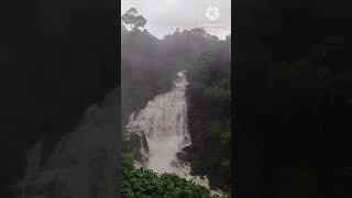 Monsoon in Kerala #maryskitchen #kerala #waterfall