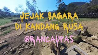 Jejak Sagara di Penangkaran Rusa #rancaupas #wisataalam #wisataciwidey   #bandungjuara #tapaksagara