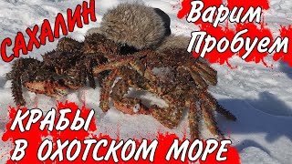 Крабалка.  Ловим крабов на мелководье,  Варим дома . Съёмка крабовых боёв под водой