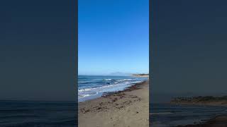 Fall not coming to Spain #marbella #beachvibes #beachwalk #beachlife #viral #spain #travel