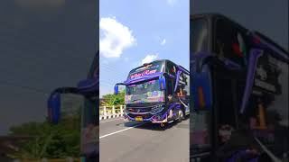 Po. Haryanto.. Menoro ra ana mundure #busmania #poharyanto