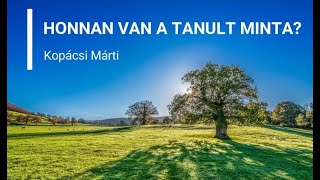 Honnan van a tanult minta?