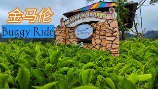 Cameron Valley Tea House Buggy Ride Walkthru View & Food at Cameron Highlands Pahang Malaysia