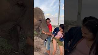 Funny Moment! Elephant Hugs Woman Like She’s Its Bride 🐘 #shorts