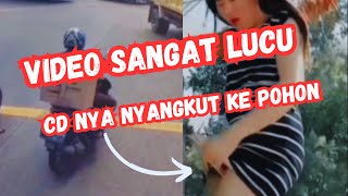 CD NYA NYANGKUT KE POHON #VIDEOSANGATLUCU