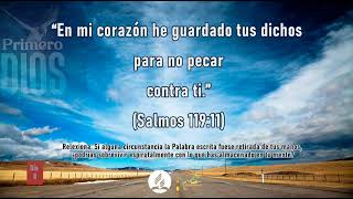 Salmos 119:11