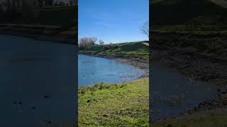 Passeggiata nel verde al Parco Increa di Brugherio