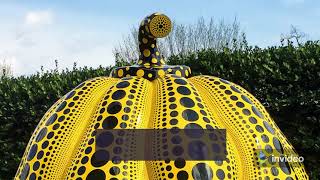 Kusama Price Prediction 2021, 2025, 2030  KSM Price Forecast