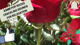 ASMR POP ROCKS CRACKLING SOUNDS FOR RELAXATION | ASMR with Analyn