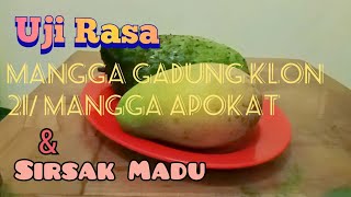 Uji Rasa Mangga gadung 21 / alpukat & sirsak madu