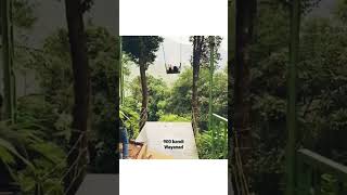 Experience the large swing#travel#wayanad#900kandi