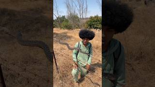 Catching Rare Snake In California!