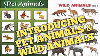 wild animals and pet animals name / Introducing wild animals & pet animals with sounds