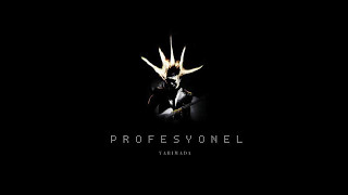 Yarımada - Profesyonel