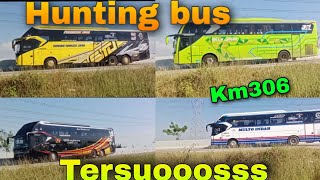 MANTAP!!! Hunting Bus Tersuooosss di tol Pejagan Pemalang|