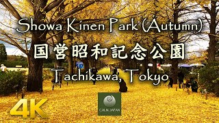 【4K】Showa Kinen Park (国営昭和記念公園) - Tachikawa, Tokyo