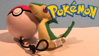 Pokemon: Throw Poke Ball Snivy