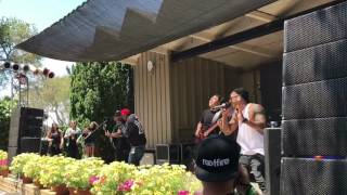 Tribal Theory live @ California Roots 8 2017