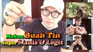 Makan Buah Tin  Manis dan Legit