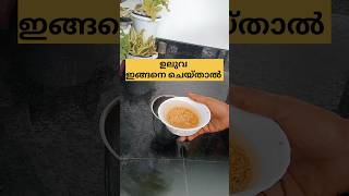 ഉലുവ ഇങ്ങനെ ചെയ്താൽ /poppy vlogs