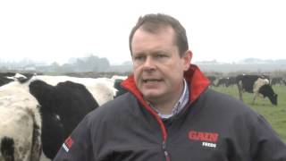 GAIN Ruminant Feeds - Early Lactation Management - Drive, Progress, Super Dairy