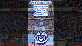 Wir lassen DICH hochleben für die Ewigkeit #msvduisburg #choreo #trauer