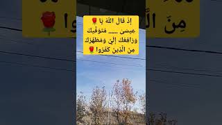 ١١ ديسمبر، ٢٠٢٤