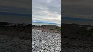 This scenic beauty #shorts #youtubeshorts #naturelovers #nature #ValeofGlamorgan #beachesinuk