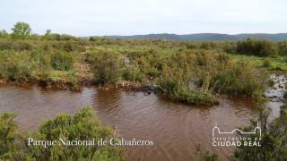 Parque Nacional de Cabañeros - Diputación de Ciudad Real