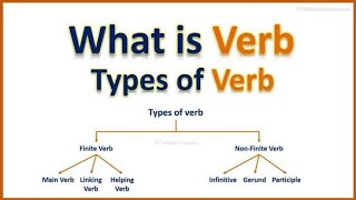 Types of verbs. Lect: 77  | What is verb by PMS CHD GRADE 10