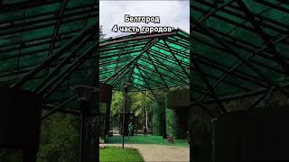 Белгород!какой город следующий?