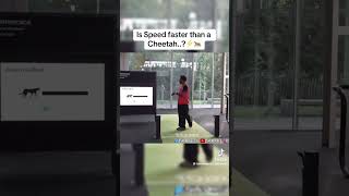 IShowSpeed tests if he is faster than a Cheetah💀| #ishowspeed #viralvideo #youtubeshorts